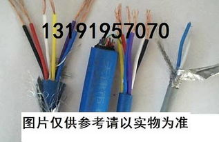 天津電纜廠(chǎng)一分廠(chǎng) 高質(zhì)量通信電纜與通訊電纜的最新市場(chǎng)供求分析